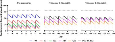 Selective Serotonin Reuptake Inhibitor Pharmacokinetics During Pregnancy: Clinical and Research Implications